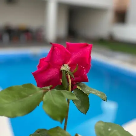 Pool House Vila Mostar