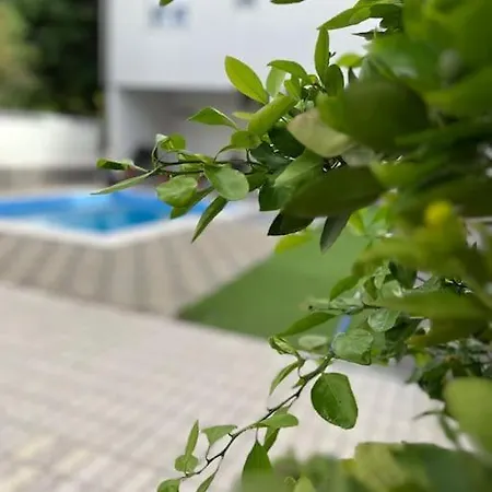 Pool House